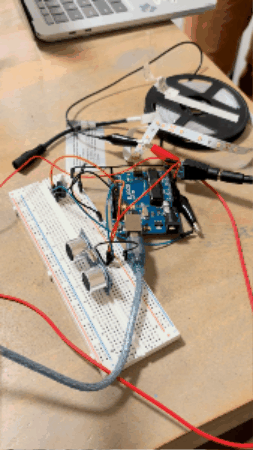 Animated GIF showing circuit operation